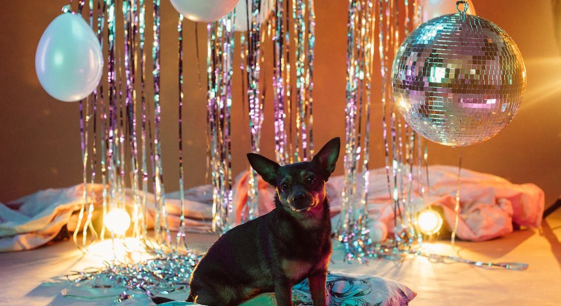 10 Creative Theme Ideas for Your Next Party