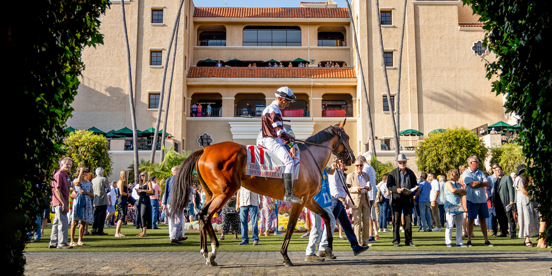 A jockey in a white and red racing silk on a brown thoroughbred horse walks on a grassy track at the Del Mar Thoroughbred Club, with a large building and spectators in the background.