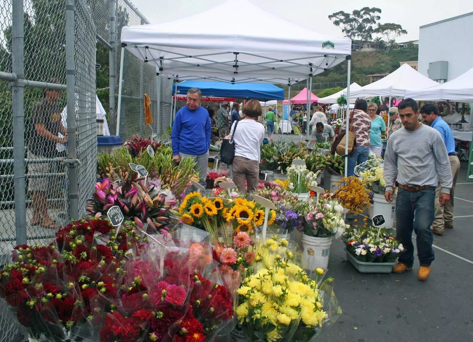 La Jolla Open Aire Market
