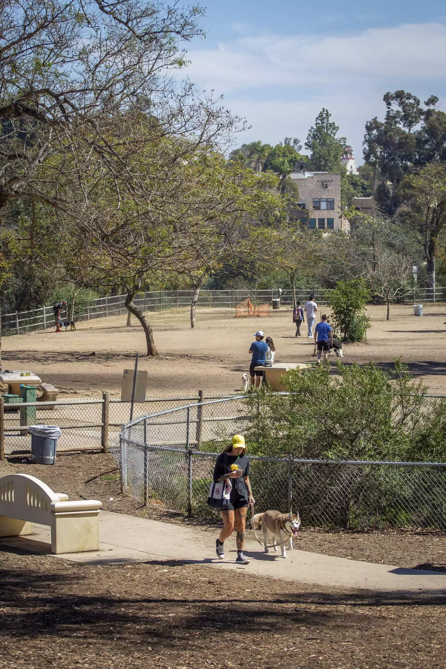 Nate’s Point Dog Park in Balboa Park