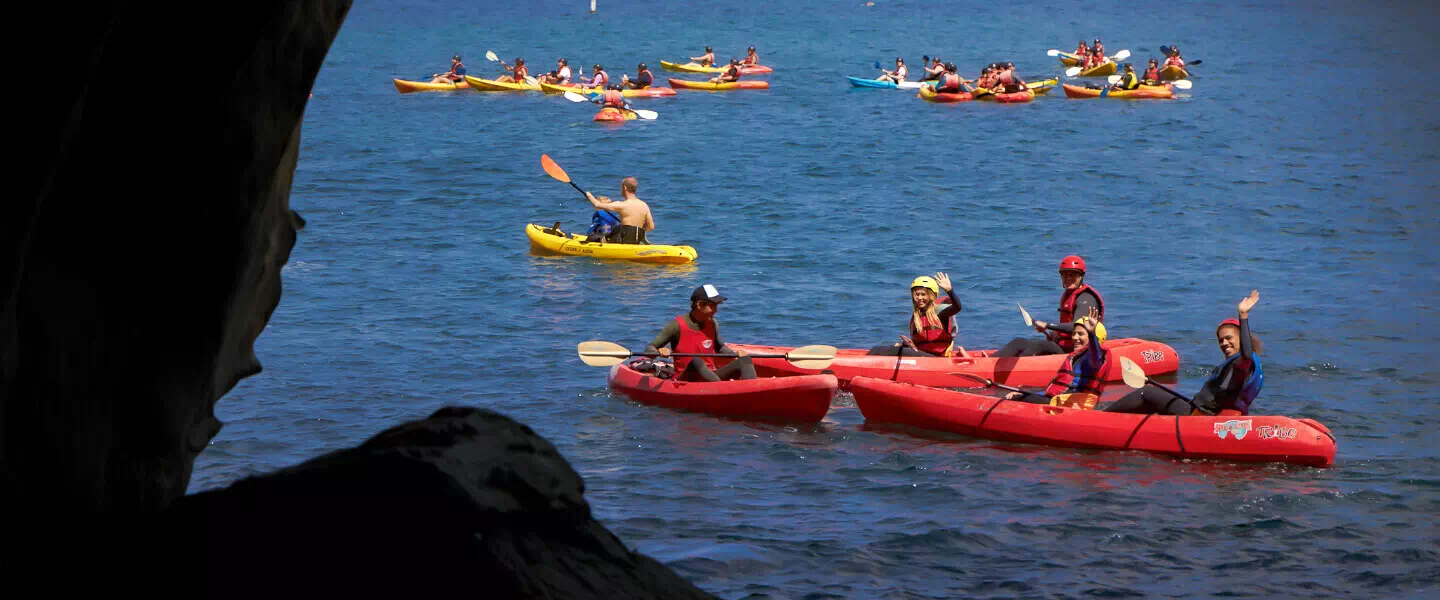 La Jolla Kayak Tours with Coastal Picnics