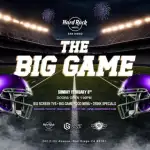 The Big Game Viewing Party @ The Hard Rock Hotel!